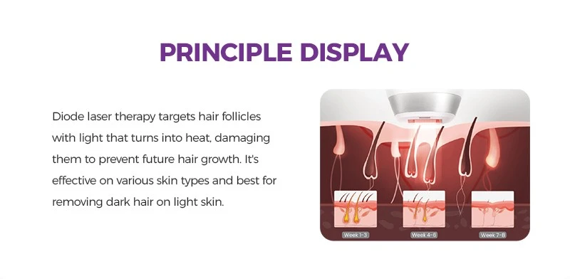 Which Laser Is Best For Permanent Hair Removal Which Laser Is Best For Permanent Hair Removal