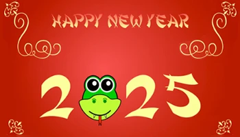 New Year, New Milestones: A Message From NewAngie
