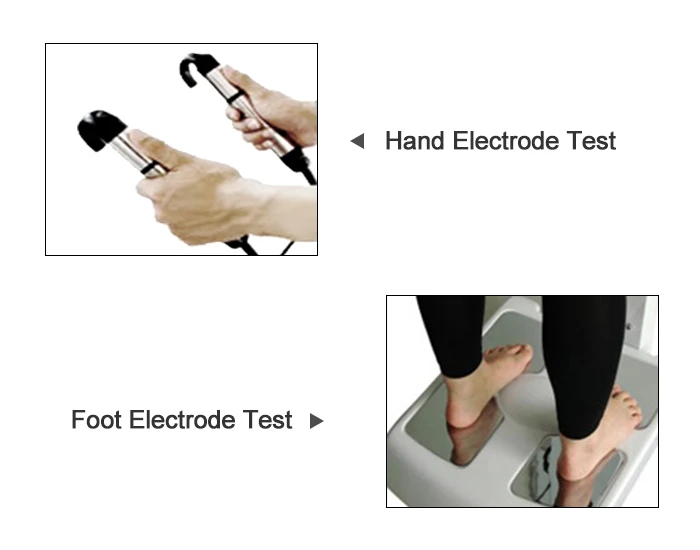 Bioelectrical Impedance Analysis Machine