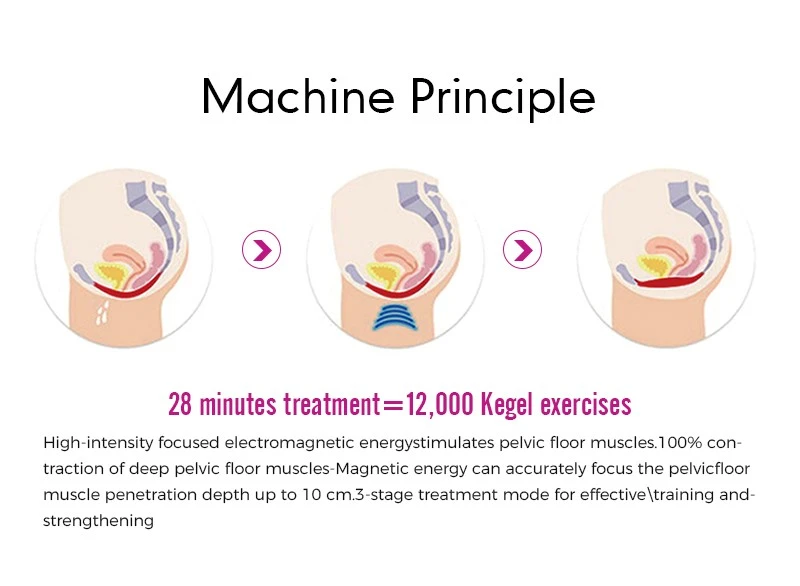 EMS Pelvic Floor Exerciser Muscle Chair Machine EMS Pelvic Floor Exerciser Muscle Chair Machine